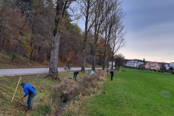 Erlenpflanzung am 23.11.24, Foto H. Hoedt
