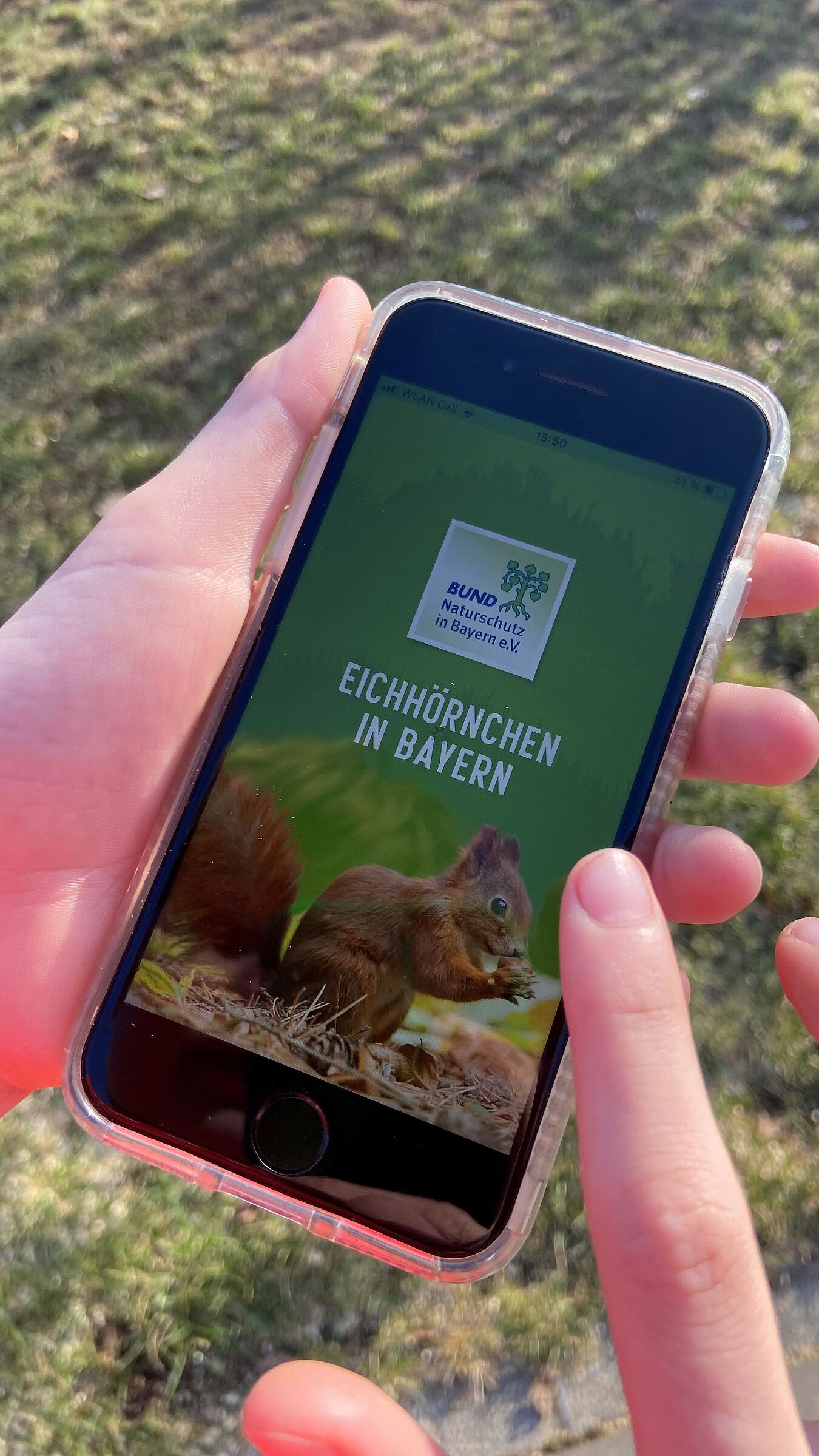 Eichhörnchen-App_Gehret