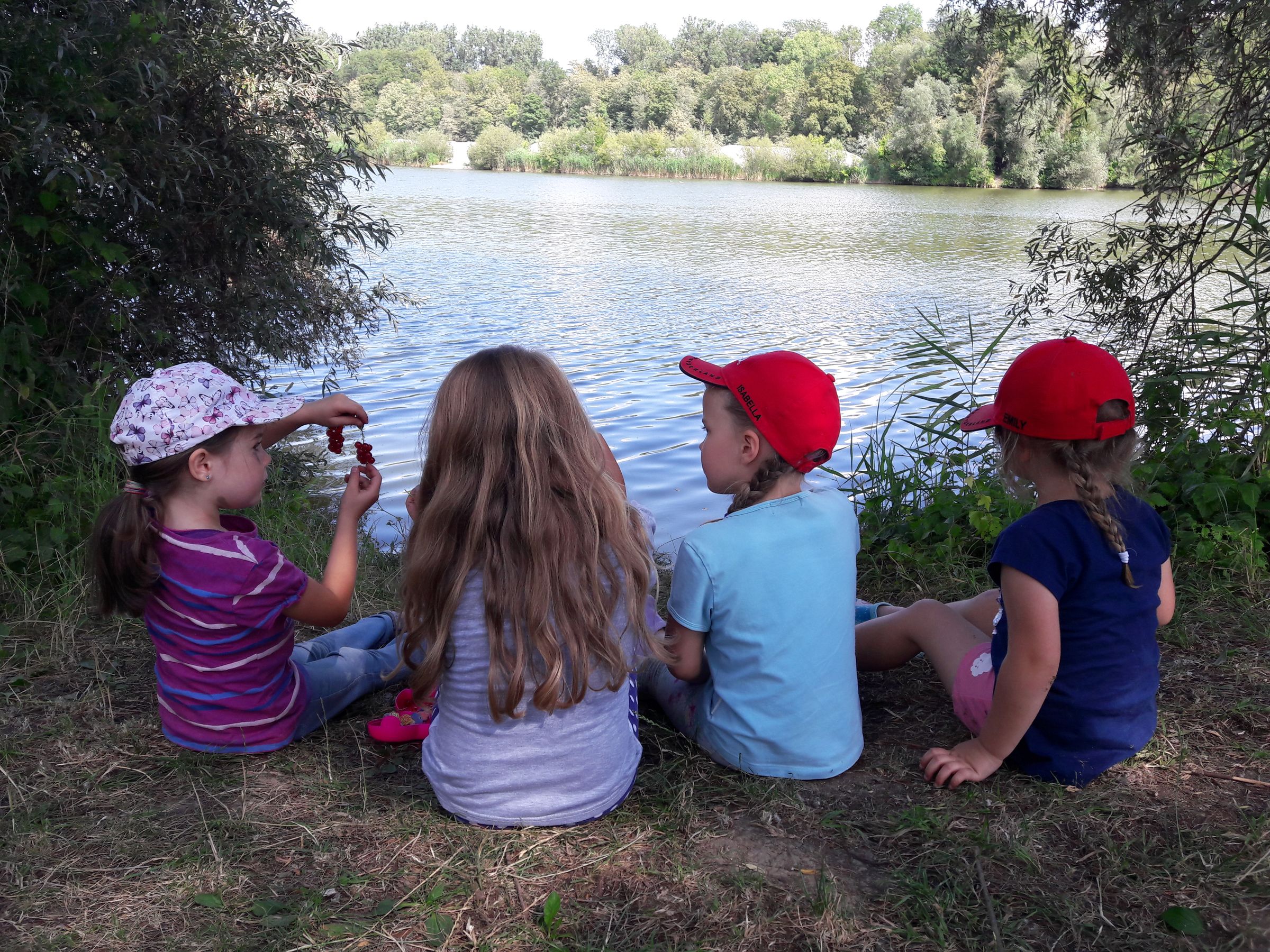 Die Froschbande, Foto K. Gast Die Froschbande, Foto K. Gast