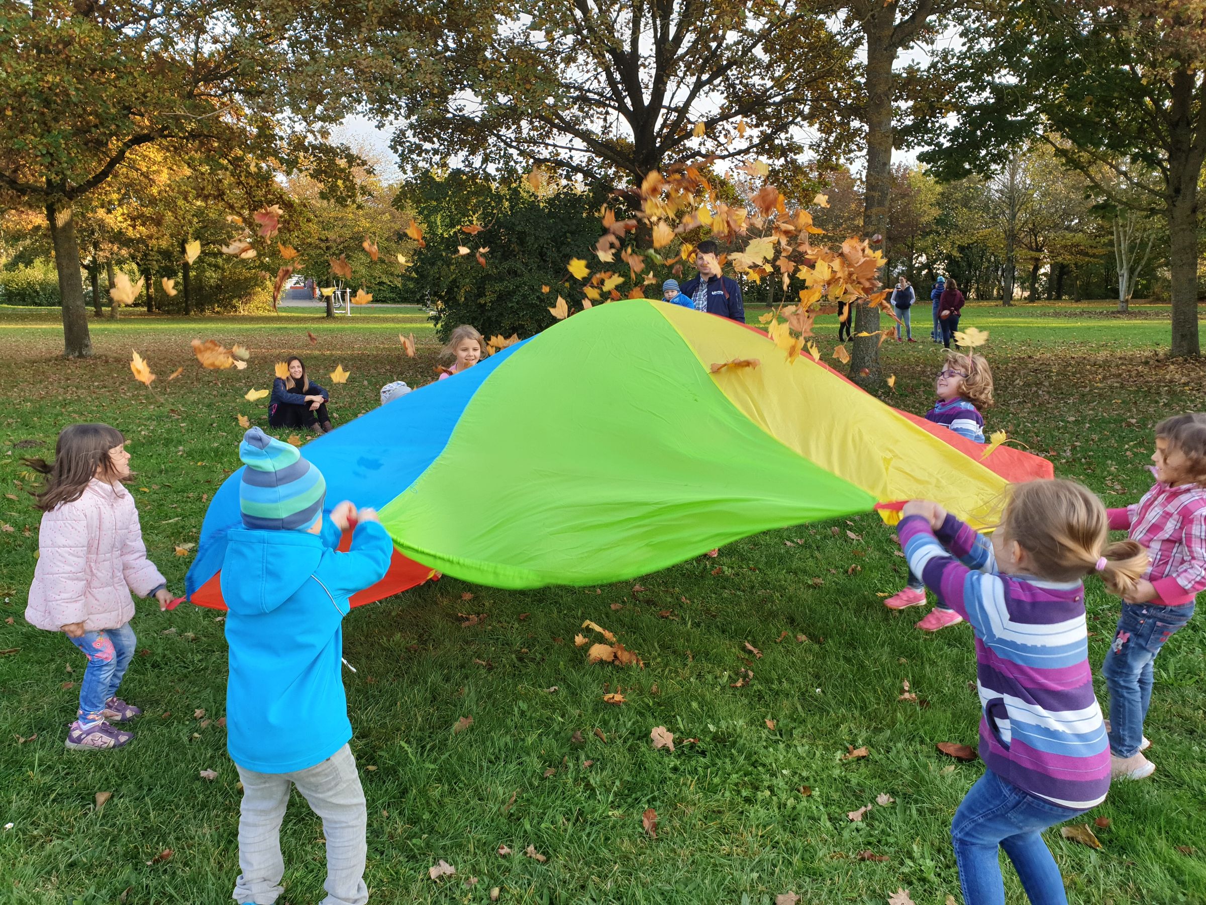 Die Froschbande, Foto K. Gast Die Froschbande, Foto K. Gast