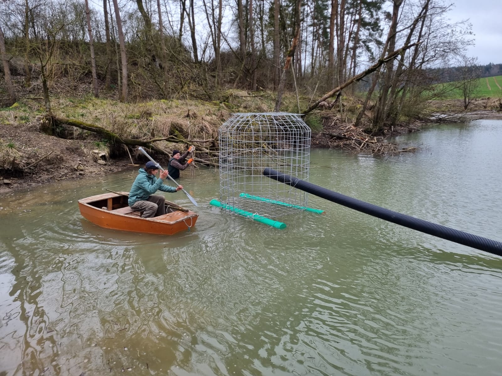 Bibertäuscher bei Hochstein, Foto H. Hoedt