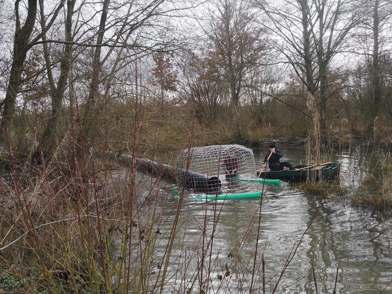 Bibertäuscher Bachhagel, Foto H. Hoedt