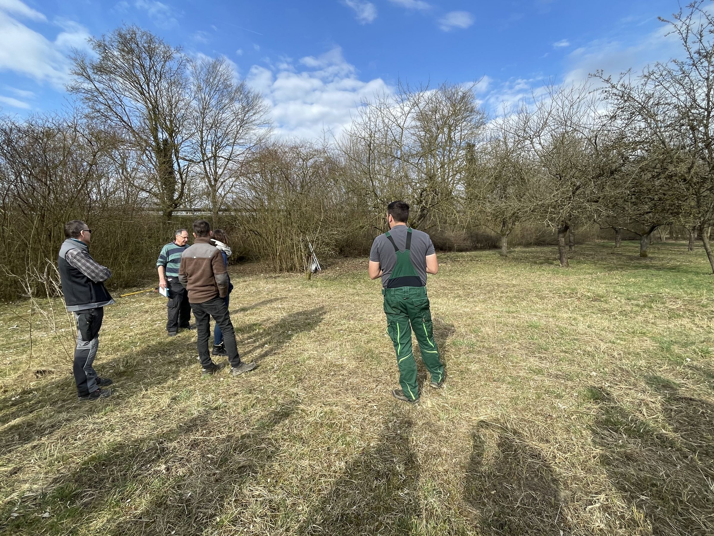 Baumschneidkurs in Gundelfingen im März 25, Foto P. Semet