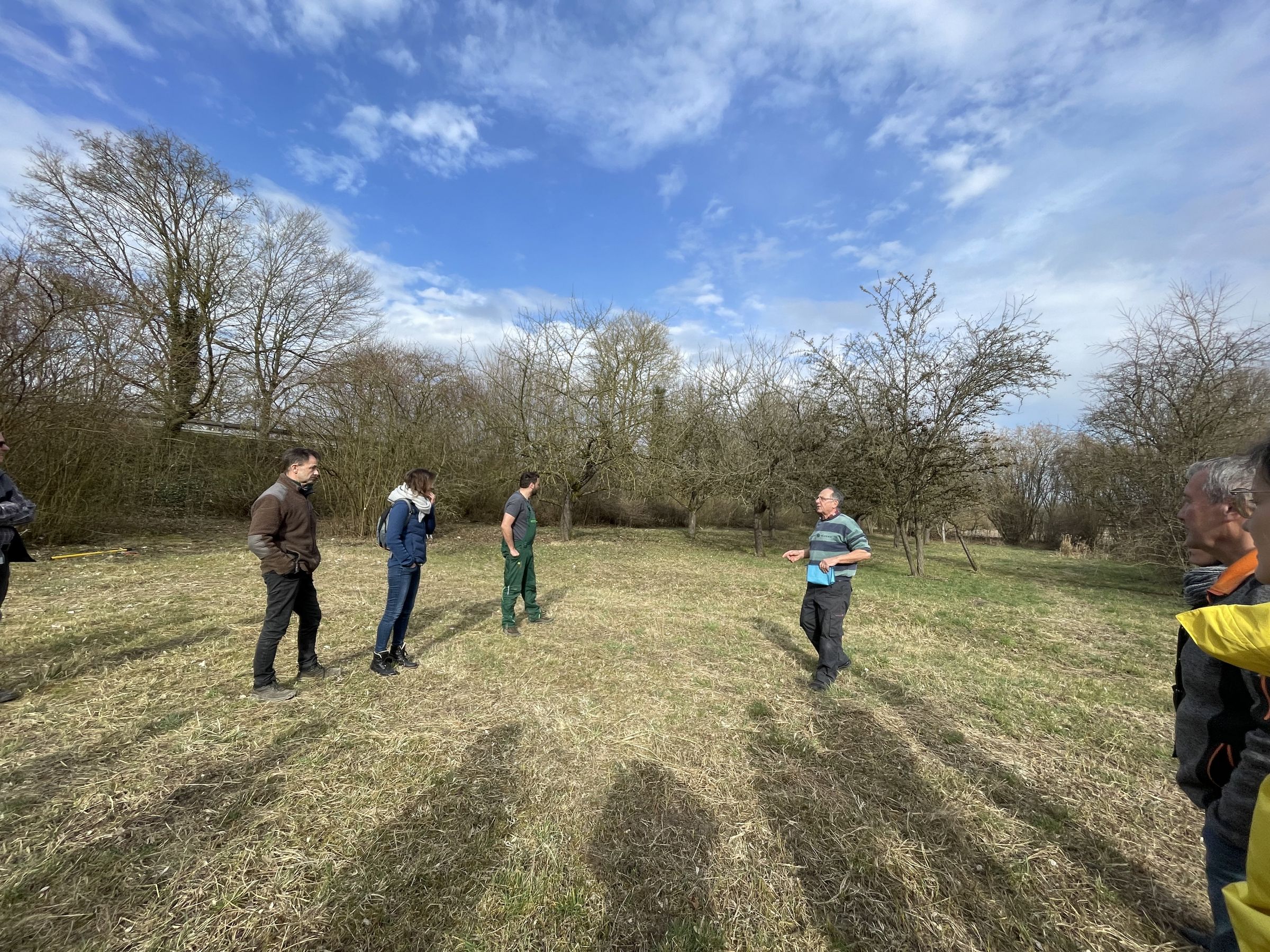 Baumschneidkurs_Gundelfingen, Foto P. Semet