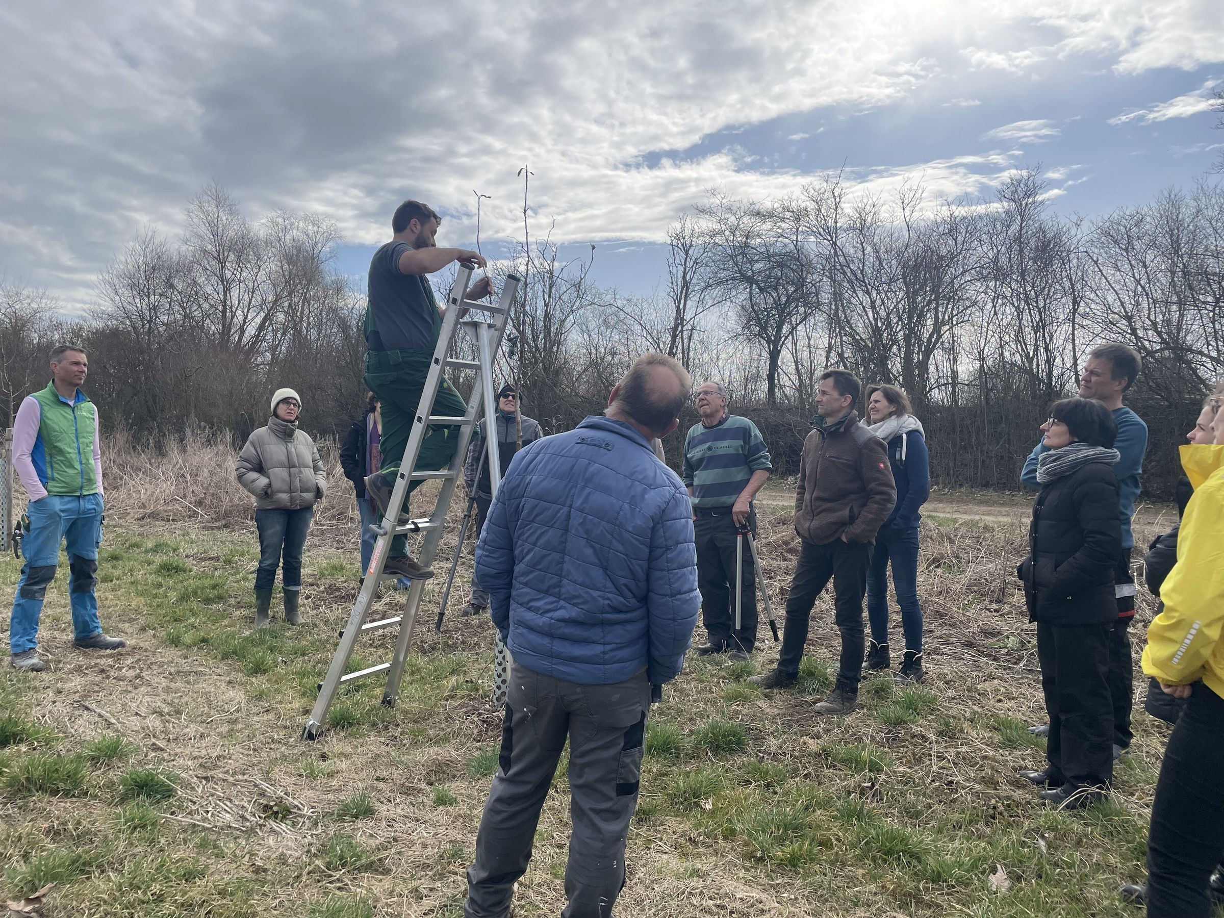 Baumschneidkurs_Gundelfingen_Foto_P._Semet