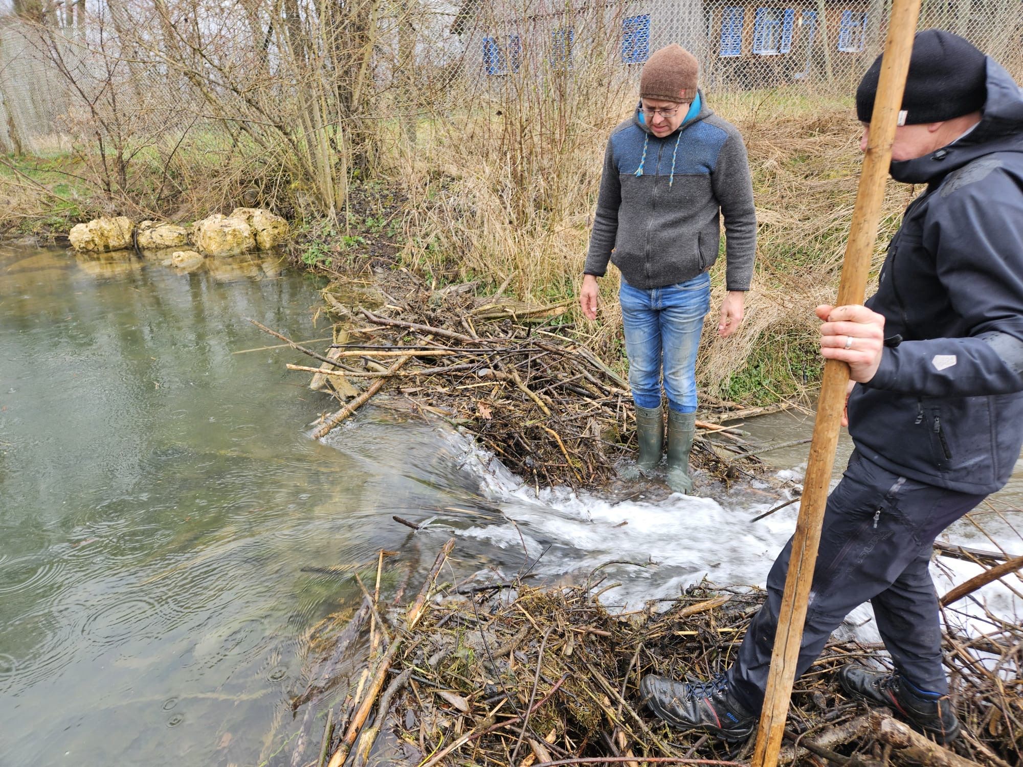 Arbeiten am Biberdamm bei Bachhagel, Foto H. Hoedt