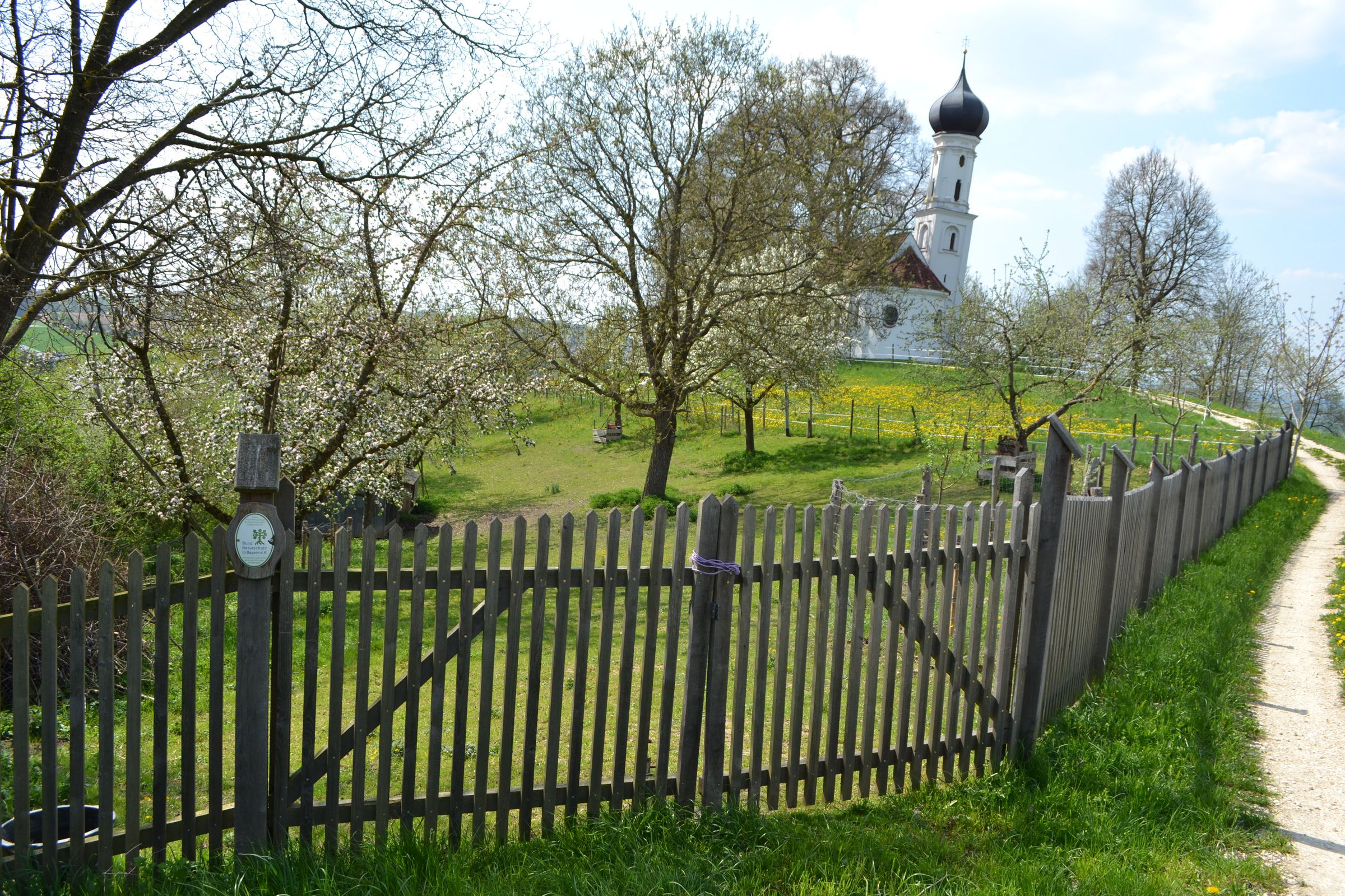 Streuobstwiese_am_Kapelle_in Holzheim, Foto Th. Kraus